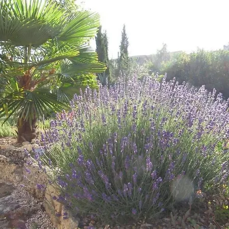 Lavendel By Interhome Жансак